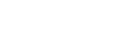 The Shrouds